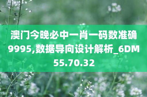 澳门今晚必中一肖一码数准确9995,数据导向设计解析_6DM55.70.32