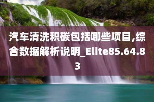 汽车清洗积碳包括哪些项目,综合数据解析说明_Elite85.64.83