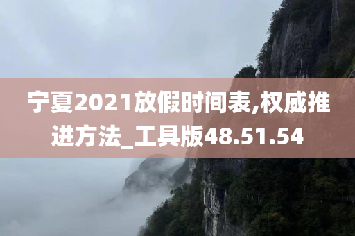 宁夏2021放假时间表,权威推进方法_工具版48.51.54