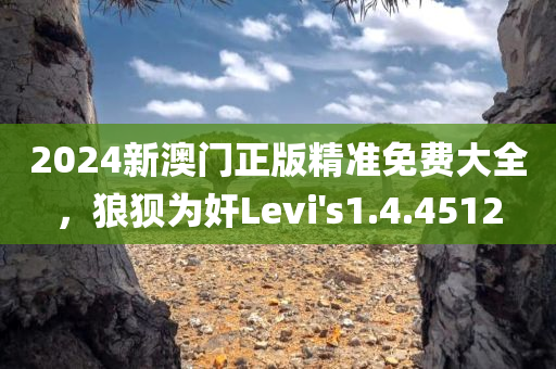 2024新澳门正版精准免费大全，狼狈为奸Levi's1.4.4512