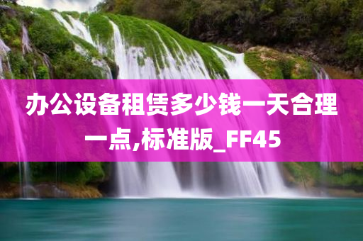 办公设备租赁多少钱一天合理一点,标准版_FF45