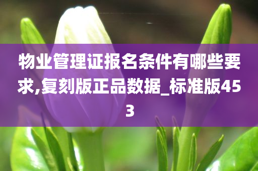 物业管理证报名条件有哪些要求,复刻版正品数据_标准版453