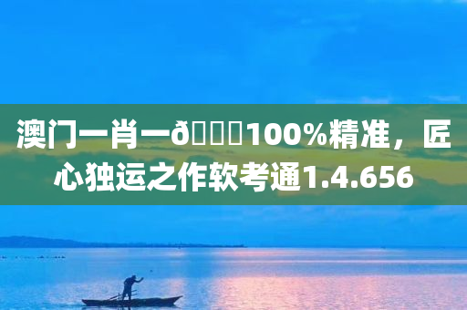 澳门一肖一🐎100%精准，匠心独运之作软考通1.4.656