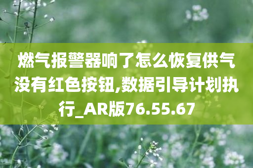 燃气报警器响了怎么恢复供气没有红色按钮,数据引导计划执行_AR版76.55.67