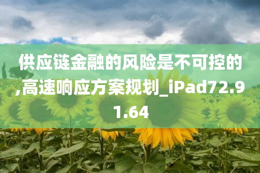 供应链金融的风险是不可控的,高速响应方案规划_iPad72.91.64