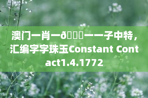 澳门一肖一🐎一一子中特，汇编字字珠玉Constant Contact1.4.1772