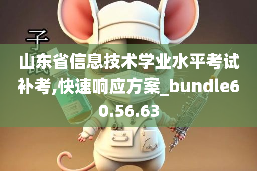 山东省信息技术学业水平考试补考,快速响应方案_bundle60.56.63