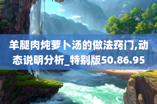 羊腿肉炖萝卜汤的做法窍门,动态说明分析_特别版50.86.95