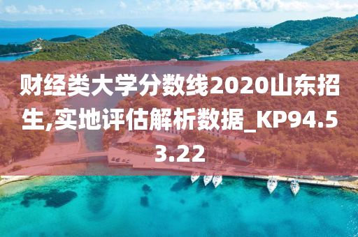 财经类大学分数线2020山东招生,实地评估解析数据_KP94.53.22