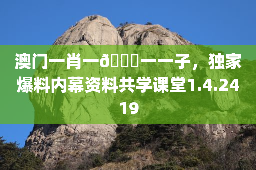 澳门一肖一🐎一一子，独家爆料内幕资料共学课堂1.4.2419