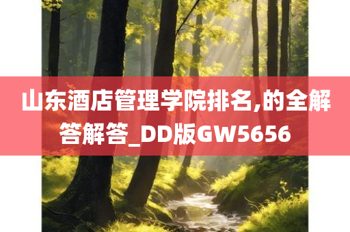 山东酒店管理学院排名,的全解答解答_DD版GW5656