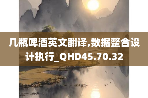 几瓶啤酒英文翻译,数据整合设计执行_QHD45.70.32