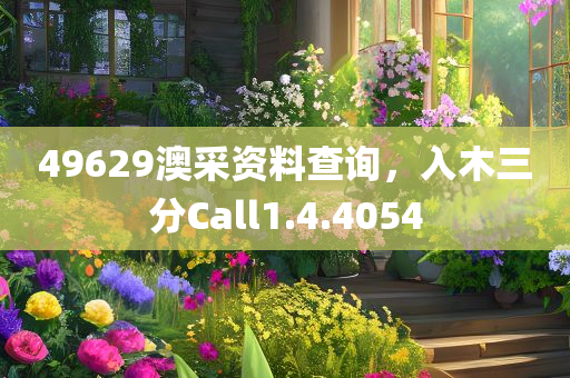 49629澳采资料查询，入木三分Call1.4.4054