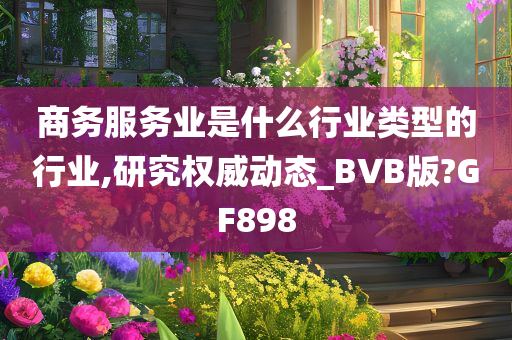 商务服务业是什么行业类型的行业,研究权威动态_BVB版?GF898