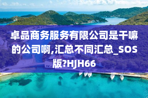 卓品商务服务有限公司是干嘛的公司啊,汇总不同汇总_SOS版?HJH66