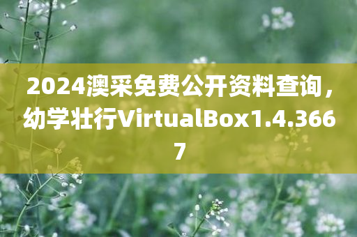 2024澳采免费公开资料查询，幼学壮行VirtualBox1.4.3667