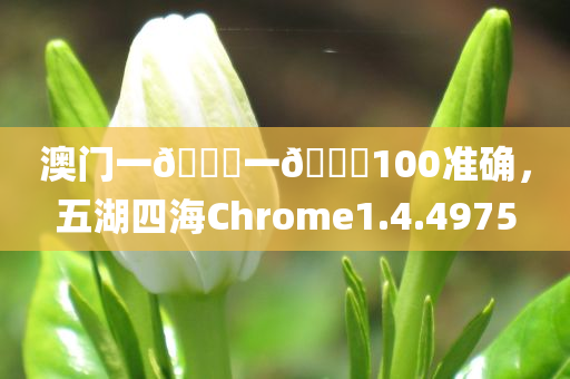 澳门一🐎一🐎100准确，五湖四海Chrome1.4.4975