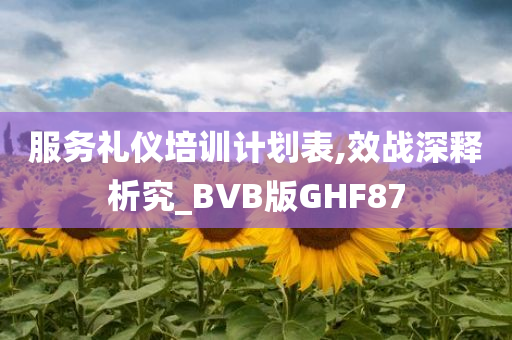 服务礼仪培训计划表,效战深释析究_BVB版GHF87