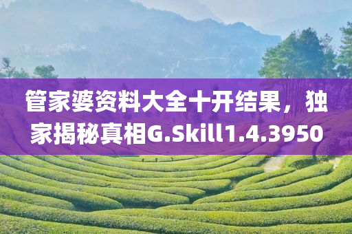 管家婆资料大全十开结果，独家揭秘真相G.Skill1.4.3950