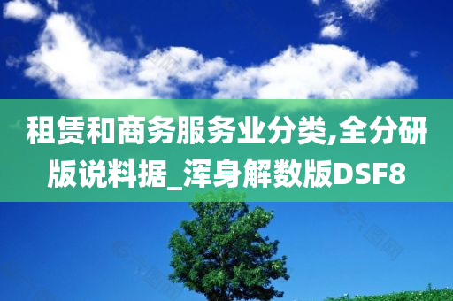 租赁和商务服务业分类,全分研版说料据_浑身解数版DSF8