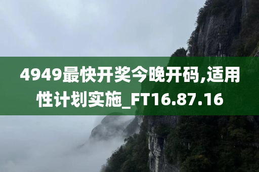 4949最快开奖今晚开码,适用性计划实施_FT16.87.16