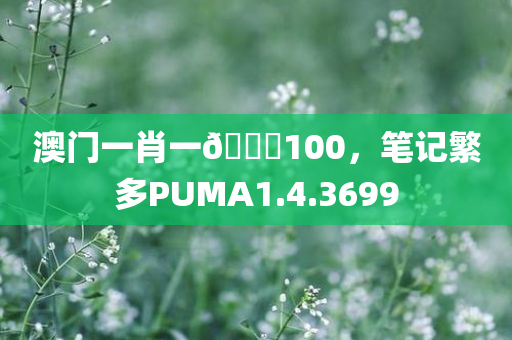 澳门一肖一🐎100，笔记繁多PUMA1.4.3699