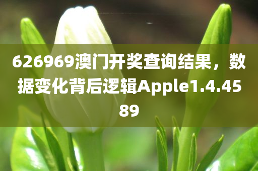 626969澳门开奖查询结果，数据变化背后逻辑Apple1.4.4589