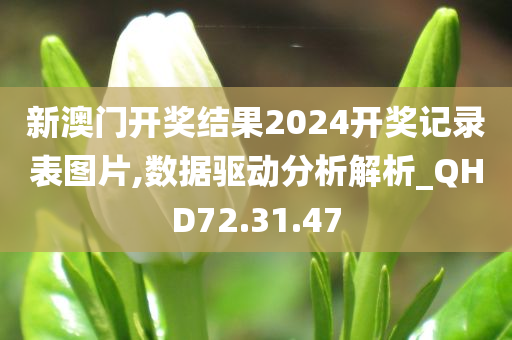 新澳门开奖结果2024开奖记录表图片,数据驱动分析解析_QHD72.31.47