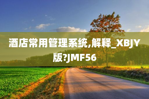 酒店常用管理系统,解释_XBJY版?JMF56