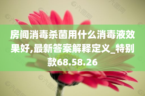 房间消毒杀菌用什么消毒液效果好,最新答案解释定义_特别款68.58.26