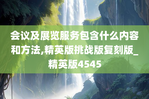 会议及展览服务包含什么内容和方法,精英版挑战版复刻版_精英版4545