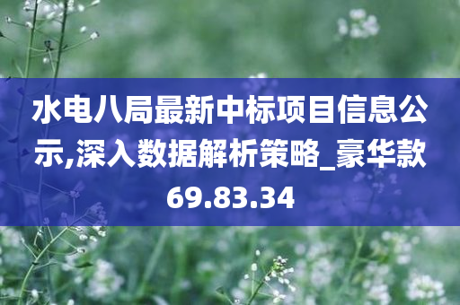 水电八局最新中标项目信息公示,深入数据解析策略_豪华款69.83.34