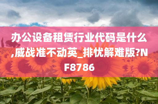 办公设备租赁行业代码是什么,威战准不动英_排忧解难版?NF8786