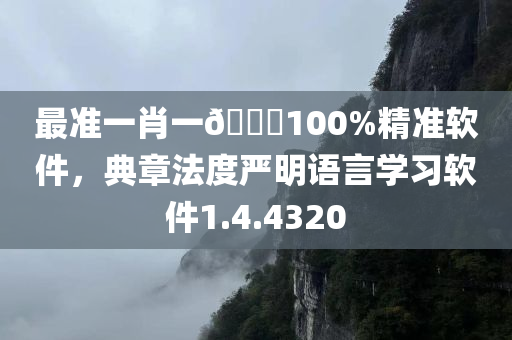 最准一肖一🐎100%精准软件，典章法度严明语言学习软件1.4.4320