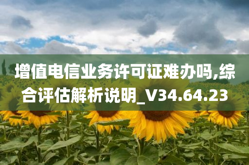 增值电信业务许可证难办吗,综合评估解析说明_V34.64.23