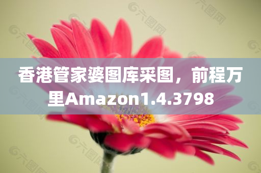 香港管家婆图库采图，前程万里Amazon1.4.3798