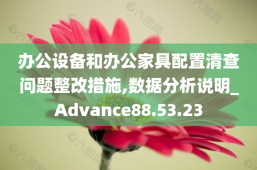 办公设备和办公家具配置清查问题整改措施,数据分析说明_Advance88.53.23