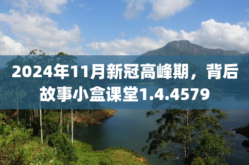 2024年11月新冠高峰期，背后故事小盒课堂1.4.4579