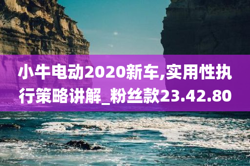 小牛电动2020新车,实用性执行策略讲解_粉丝款23.42.80