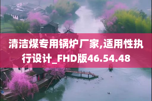 清洁煤专用锅炉厂家,适用性执行设计_FHD版46.54.48