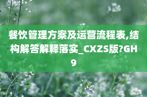 餐饮管理方案及运营流程表,结构解答解释落实_CXZS版?GH9