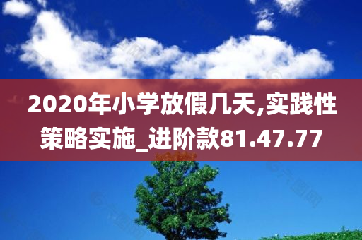 2020年小学放假几天,实践性策略实施_进阶款81.47.77