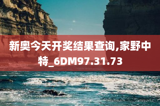 新奥今天开奖结果查询,家野中特_6DM97.31.73