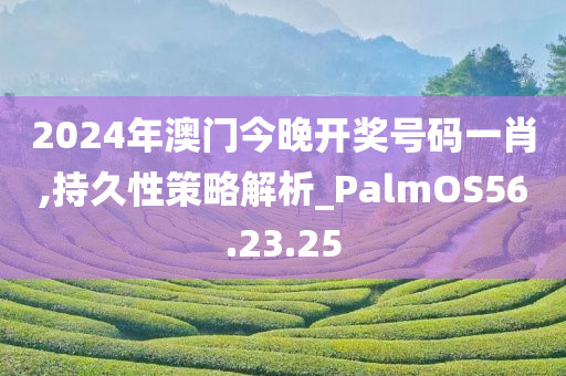 2024年澳门今晚开奖号码一肖,持久性策略解析_PalmOS56.23.25