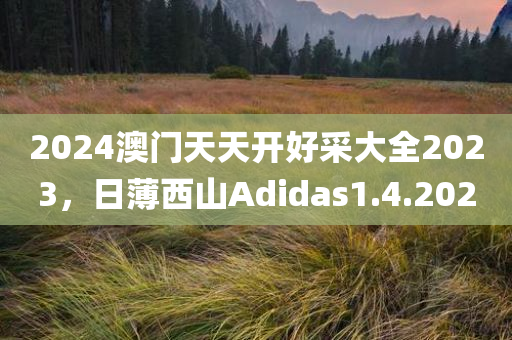 2024澳门天天开好采大全2023，日薄西山Adidas1.4.202