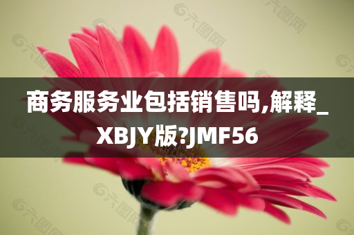 商务服务业包括销售吗,解释_XBJY版?JMF56