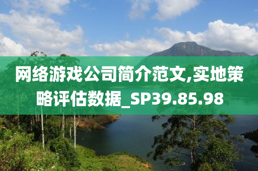 网络游戏公司简介范文,实地策略评估数据_SP39.85.98