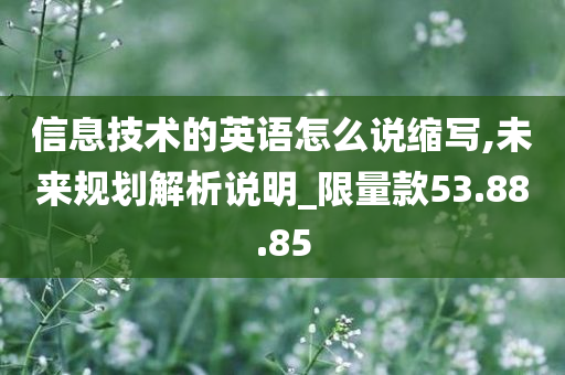 信息技术的英语怎么说缩写,未来规划解析说明_限量款53.88.85