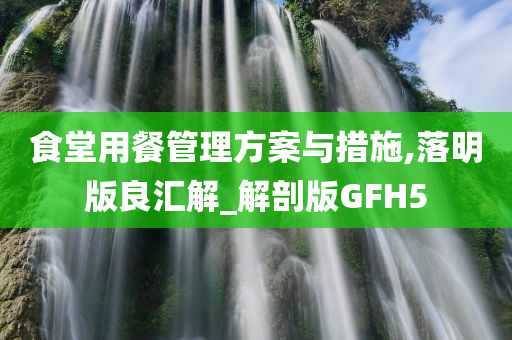 食堂用餐管理方案与措施,落明版良汇解_解剖版GFH5