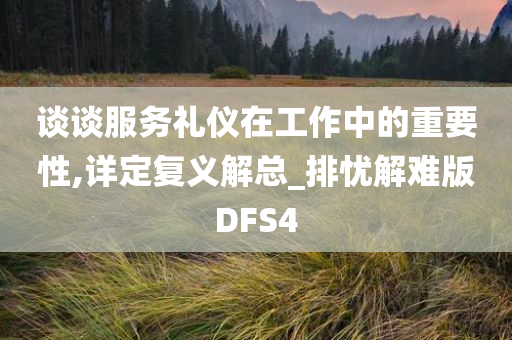 谈谈服务礼仪在工作中的重要性,详定复义解总_排忧解难版DFS4